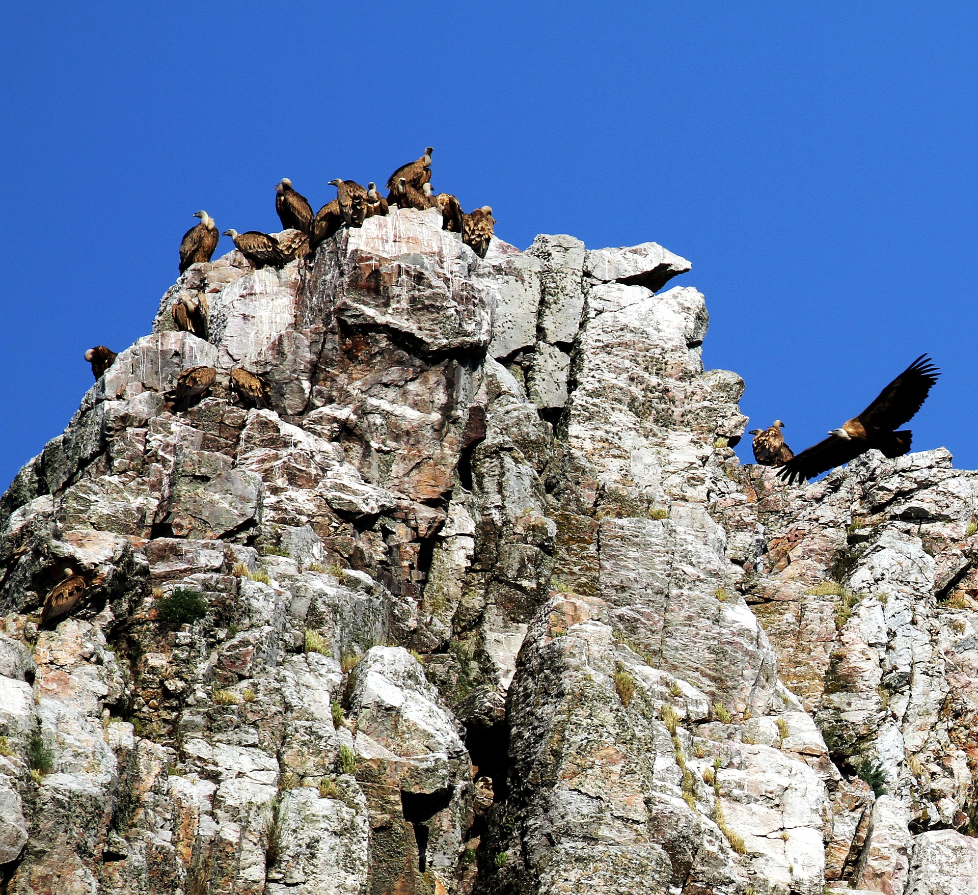 Monfrague extremadura