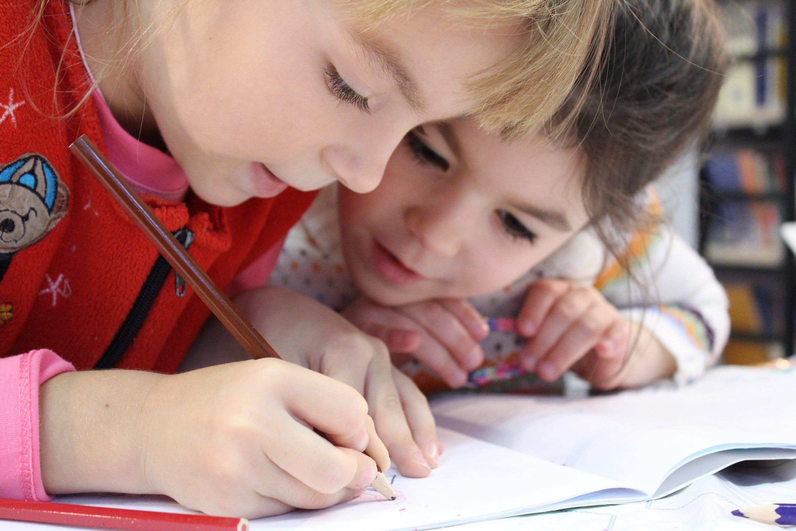 sesgos de género igualdad en educación