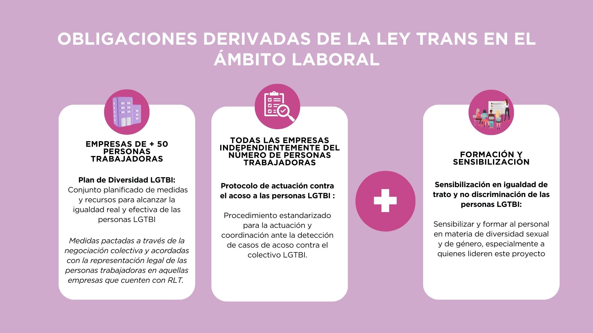 plan-lgtbi plan-lgtbi-diagrama-de-obligaciones